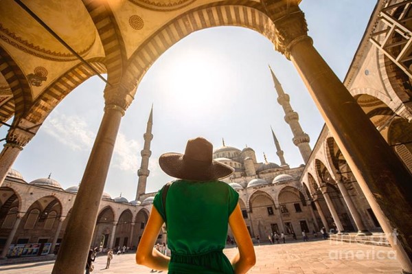 伊斯坦布尔的蝴蝶